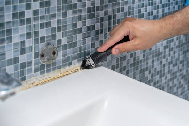 Best Residential Mold Removal  in Wilkshire Hills, OH